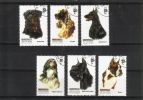 Afganistan 2003 - Dogs (6) Afganistan 2003 - Dogs (6)
