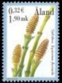 Aland 2001 - Spare-plants 1,90 - Swamp horsetail