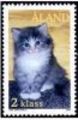 Aland 2003 - Pets 2 lk/class - Tovis cat