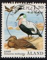 Aland 1987 - Sea birds 1,70 Common Eider - Mariehamn 9.4.87