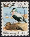 Aland 1987 - Sea birds 1,70 Common Eider - Mariehamn 28.4.87