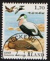 Ahvenanmaa 1987 - Merilintuja 1,70 Haahka - Eckerö 2.1.87 Ahvenanmaa 1987 - Merilintuja 1,70 Haahka - Eckerö 2.1.87