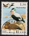 Aland 1987 - Sea birds 1,70 Common Eider - Eckerö 2.1.87