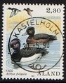 Aland 1987 - Sea birds 2,30 Tufted Duck - Kastelholm 30.5.90