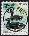 Ahvenanmaa 1987 - Merilintuja 12,00 Pilkkasiipi - Eckerö 8.2.89 Ahvenanmaa 1987 - Merilintuja 12,00 Pilkkasiipi - Eckerö 8.2.89