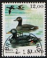 Ahvenanmaa 1987 - Merilintuja 12,00 Pilkkasiipi - Brändö Åland 2.1.87 Ahvenanmaa 1987 - Merilintuja 12,00 Pilkkasiipi - Brändö Åland 2.1.87