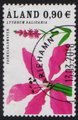Ahvenanmaa 2007 - Rantakasveja 0,90 Rantakukka - Mariehamn 13.3.2018 Ahvenanmaa 2007 - Rantakasveja 0,90 Rantakukka - Mariehamn 13.3.2018