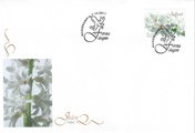 Ahvenanmaa 2011 - Joulupostimerkki 2011 - Hyasintti FDC Ahvenanmaa 2011 - Joulupostimerkki 2011 - Hyasintti FDC
