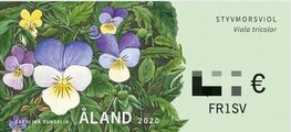 Ahvenanmaa 2020 - ATM 41 1.30 e Villikukkia Ahvenanmaa 2020 - ATM 41 1.30 e Villikukkia