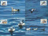 Aland 2001 - Maxicards 35-38 WWF Stellers Water Birds (4)