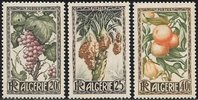 Algeria 1950 - Fruits (3)