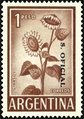 Argentina 1961 - Sunflower 1c brown (s. oficiale) Argentina 1961 - Sunflower 1c brown (s. oficiale)