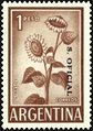 Argentina 1961 - Sunflower 1c brown (s. oficiale)