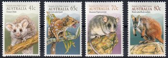 Australia 1990 - Animals of the high country (4) Australia 1990 - Animals of the high country (4)