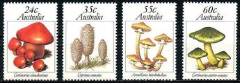 Australia 1981 - Mushrooms (4) Australia 1981 - Mushrooms (4)