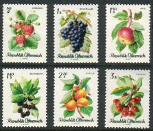 Austria 1966 - Berries (6)