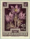 Austria 1948 - Anti-Tuberkulosis 1948 5/10 Pasqueflower