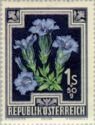 Austria 1948 - Anti-Tuberkulosis 1948 9/10 Alpine Gentian