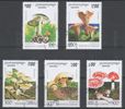 Kambodza 1995 - Mushrooms (5) Kambodza 1995 - Mushrooms (5)