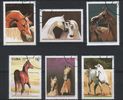 Kuuba 1995 - Horses (6) Kuuba 1995 - Horses (6)