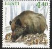 Eesti, Viro 2002 - Wild boar Eesti, Viro 2002 - Wild boar