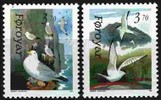 Faroe Islands 1991 - Birds (2)