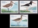 Faroe Islands 1977 - Faroe Islands birds (3)