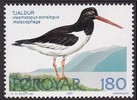 Faroe Islands 1977 - Faroe Islands birds - Oystercatcher