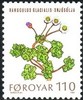 Färsaaret 1980 - Faroe Islands flowers - 110 Glacier Buttercup Färsaaret 1980 - Faroe Islands flowers - 110 Glacier Buttercup