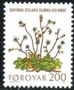 Färsaaret 1980 - Faroe Islands flowers - 200 Starry Saxifrage Färsaaret 1980 - Faroe Islands flowers - 200 Starry Saxifrage