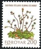 Faroe Islands 1980 - Faroe Islands flowers - 200 Starry Saxifrage