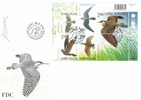 Suomi 1999 - Suviyön lintuja pienoisarkki FDC nimikirjoituksella