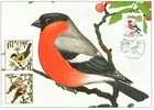 Finland 1991 - Bullfinch (1991) postcard FDC