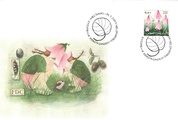 Finland 2004 - Twinflower FDC