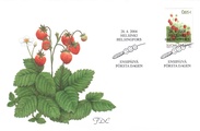 Finland 2004 - Berries - Woodland Strawberry FDC