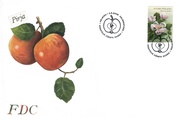 Finland 2005 - Apple flower FDC