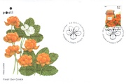 Suomi 2005 - Lakka FDC