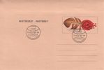 Finland 1984 - Postal letter Feather 1,40 | Tampereen Filatelistiseura 11.11.1984