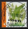 Suomi 2002 - Kielo - Koko kasvi kukintoineen - Hanko 10900 11.9.2006