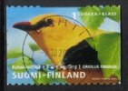 Finland 2001 - Golden Oriole - Vihti 7.1.200?