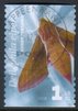 Suomi 2008 - Yöperhosia 3/3 - Horsmakiitäjä - Lappeenranta 15.12.22008 Suomi 2008 - Yöperhosia 3/3 - Horsmakiitäjä - Lappeenranta 15.12.22008