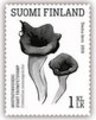 Finland 2016 - Edible mushrooms 3/5 - Horn of plenty (Craterellus cornucopioides) Finland 2016 - Edible mushrooms 3/5 - Horn of plenty (Craterellus cornucopioides)