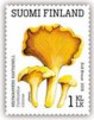 Finland 2016 - Edible mushrooms 4/5 - Chanterelle (Cantharellus cibarius) Finland 2016 - Edible mushrooms 4/5 - Chanterelle (Cantharellus cibarius)