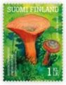 Suomi 2016 - Ruokasieniä 5/5 - Kuusenleppärousku (Lactarius deterrimus)