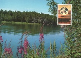 Finland - Lake view maxicard