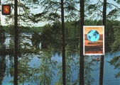 Finland - Lake view maxicard