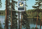 Finland - Lake view maxicard