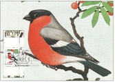 Finland - Bullfinch maxicard