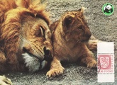 Finland - Lions maxicard