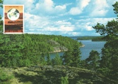 Finland - Lake view maxicard
